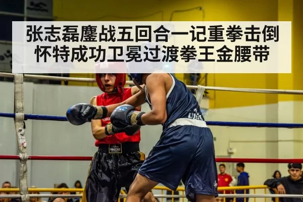 张志磊鏖战五回合一记重拳击倒怀特成功卫冕过渡拳王金腰带
