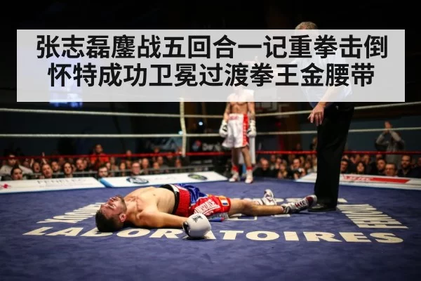 boxer knockout