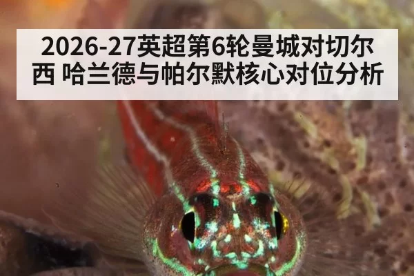 2026-27英超第6轮曼城对切尔西 哈兰德与帕尔默核心对位分析